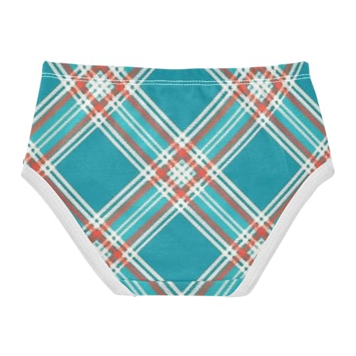 Girls' Underwear Soft Touch Organic Underwear for Kids Plaid Pattern in Sizes 2T,3T, 4T, 5T, 6Y and 8Y2