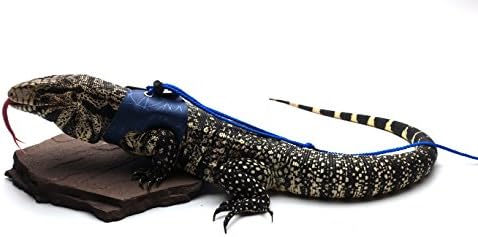 Ogle Lizard Leash, Limited Edition Blue Web, for LARGE LIZARDS (Giant size)