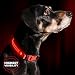LED Dog Collar, USB Rechargeable, Large (19 - 24" / 49 - 61cm), Ruby Red