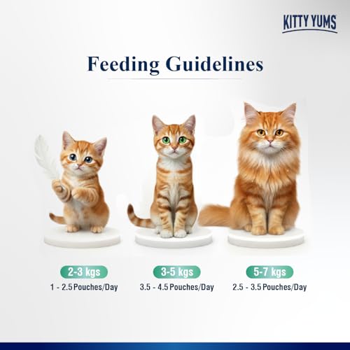 Image of Kitty Yums Adult Cat Wet Mousse 80g(4+1) Pack of 5, 400g | Tuna | Rich in Protein | Promotes Hydration & Easy to Digest | No Artificial Flavours | Packed with Essential Vitamins & Antioxidants