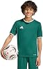 Jersey Entrada 26 para niño 2