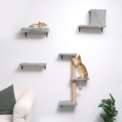 FUKUMARU Kletterwand Katzen Set, Katzen Kletterwand Set aus robuster Multiplexplatte，Hängematte Katze mit Katzenhaus, Katzenbrücke, Katzenbaum,...