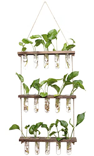 Fashionstorm Wall Hanging Planter Terrarium With Wooden Stand, 3 Tiered Plant Propagation Tubes, Flower Test Tube Vases Retro Hanging Glass Propagation Planter For Hydroponic Plants Cutting #TOP14