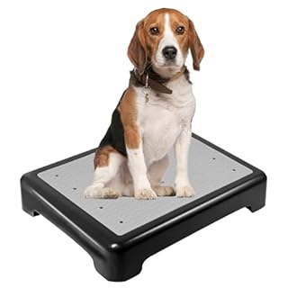 YEXEXINM Dog Training Place Board with Non-Skid Surface, Dog Platform for Training, Portable Dog Agility Platform，Dog Training Stand, Dog Training Equipment Suitable for Small, Medium and Large Dogs
