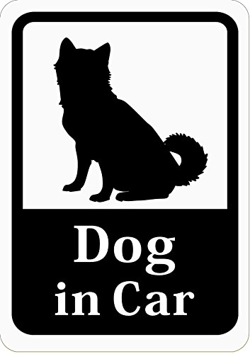 Dog in Car 「柴犬」 車用ステッカー (マグネット) (ホワイト) s16