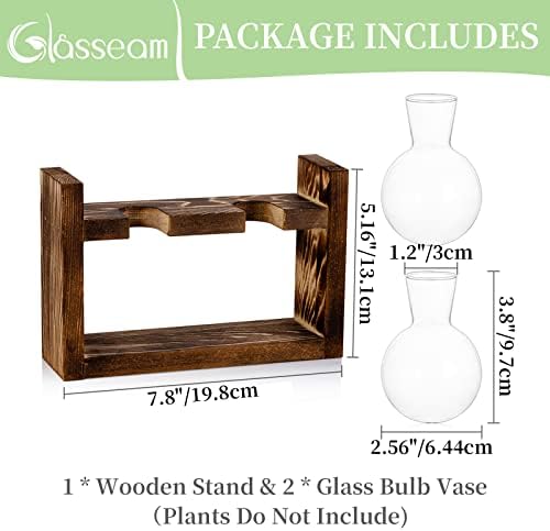 Propagation Station 2 Pcs Bulb Vase Glass Sweet Pea Vase for Flowers Terrarium Jar Planter with Wooden Rack Stand Holders for Green Water Plants Fit for Home Kitchen Table Desk Indoor Decor
