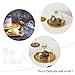 2 Pack Wooden Cake Stand with Glass Dome,Small Cake Stand with Lid,Cake Display Server Tray for Kitchen,Birthday Parties,Weddings,Baking Gifts (6.1 x 4.7 in)