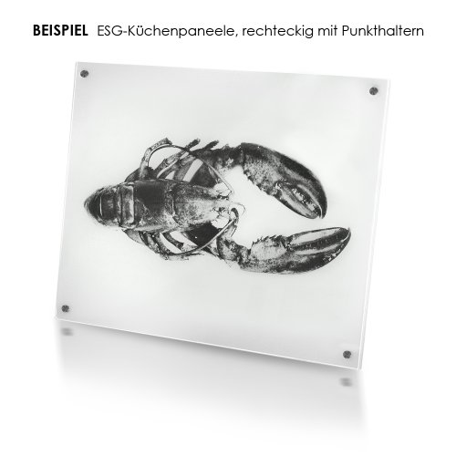 Protector de salpicaduras cocina cristal templado Dali panel protector de pared 50x75 4