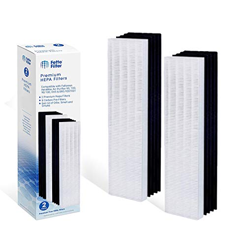 Fette Filter – 2 filtros Hepa y 8 filtros de carbono Pre compatibles con Fellows AeraMax 90/100 DX5 y DB5 9287001 9324001