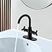 Derengge Matte Black Bathroom Faucet,Two-Handle Bathroom Sink Faucet Water Supply Line,1 Hole or 3 Hole Lavatory Vantity Faucet,F-0081-MT