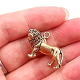 Breites Anwendungsspektrum: Es kann für Autoschlüssel, Türschlüssel, Zimmerschlüssel, andere DIY-Anhänger und andere Orte verwendet werden und kann für alle tragbaren Gegenstände verwendet werden.