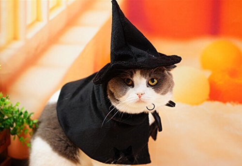 Cute Hooded Cloak Witch/Wizard Halloween Holiday Costume For Small Dogs & Cat Kitten, Cat Costume #TOP4