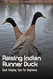 Raising Indian Runner Duck: Duck Keeping Tips For Beginners: Indian Runner Duck Meat Production