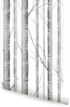 Birch Tree Wallpaper - Temporary Wallpaper (Single Sheet 2ft x 5ft)