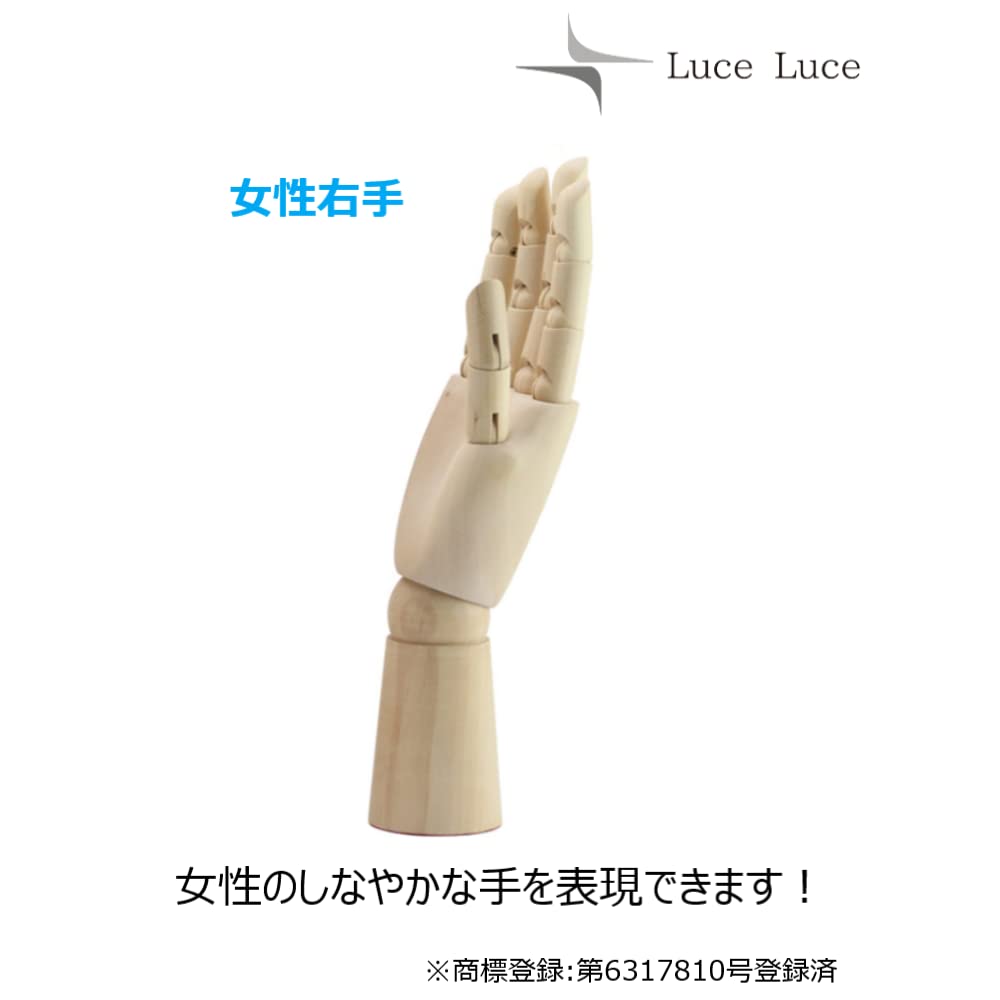 Amazon.co.jp: LuceLuce ハンド マネキン ハンドモデル デッサン 人形