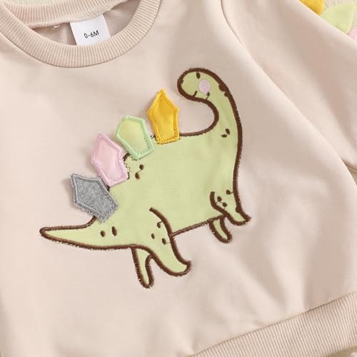 Toddler Baby Boy Dinosaur Outfits Funny Animal Sweatshirts Dinosaur Pants Set Infant Clothes 6 12 18 24Months 2T 6