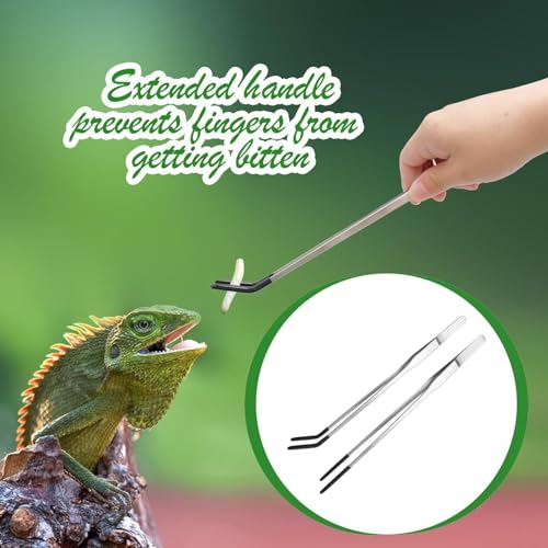 MUYYIKA Axolotl Stainless Steel Feeding Forceps for Reptiles, with Rubber Tip, 26.7 cm, Straight and Curved Pincet for Aquarium, Ideal for Chameleons, Snake Tanks, Aquarium Accessories, 2 Pieces - Image 3