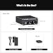 Fosi Audio TP-02 Subwoofer Amplifier Home Audio, Mini Bass Amp Mono Subwoofer Amp, with TDA7498E Chip 220W Volume and Frequency Control, for Powered Passive Subwoofers Bass Shakers