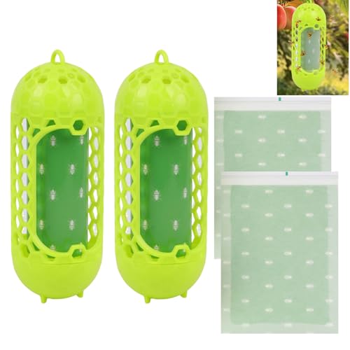 BigKing 2PZ Trappola per Vespe, Calabroni, Api e Mosche, Trappola per Mosche da Esterno Con 4 Adesivi, Appendibile, Adatto per Casa, Esterno e Giardino (Verde Smeraldo)
