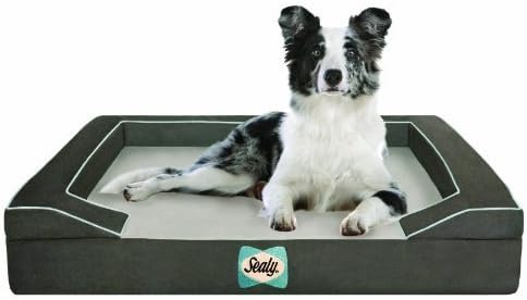 Sealy Dog Bed with Quad Layer Technology, Medium, Modern Gray by Sealy Dog Bed