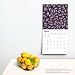 Innerspace | 2025 12 x 24 Inch Monthly Square Wall Calendar | Plastic-Free | BrownTrout | Science Space Exploration Nature