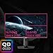 msi MPG 321URX QD-OLED, 32