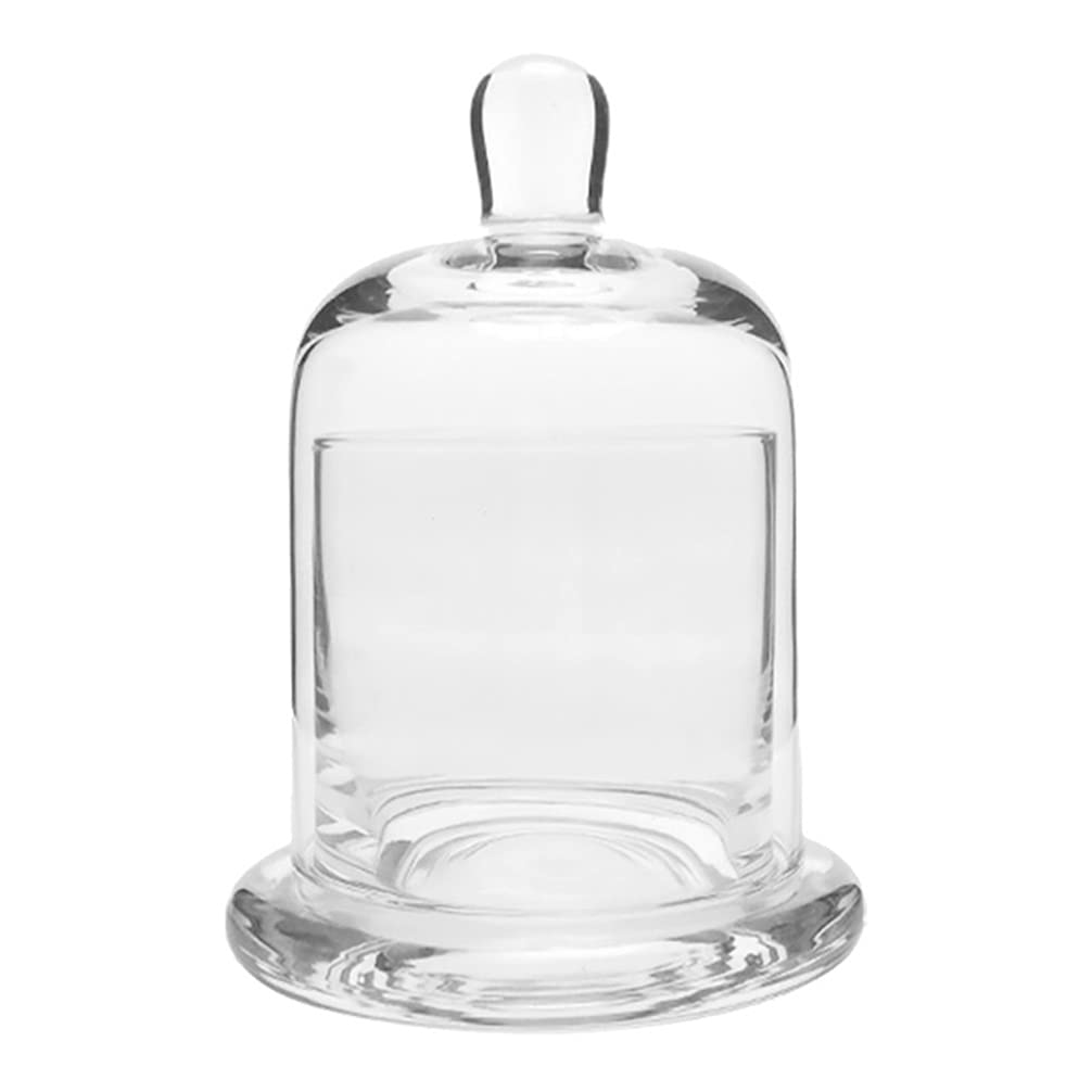 Healifty 2 Sets Glass Dome with Base Mini Cake Stand Glass Display Dome Cloche Clear Glass Bell Jar Cover for Candle Dessert Cheese Candy Plants Succulents 12. 8cm