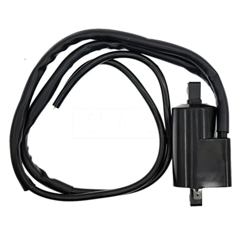 �_�� �R�C�� �v���O �ɓK������ �X�Y�L GSX400F GSX600F GSX-R600W GSX750 GSX750F GSXR750 GSXR1100 GSX1100F GSX1100G RF600R RF900R �_�΃R�C�� 12V CDI �R�C��