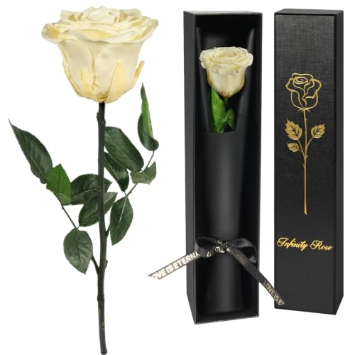 Yamonic Preserved Flowers Rose Gifts for Women Mom, Mothers Day Rose Gifts for Moms, Forever Real Flower Birthday Mom Gift for Her, Women, Grandma, Girlfriend, Wife Wedding