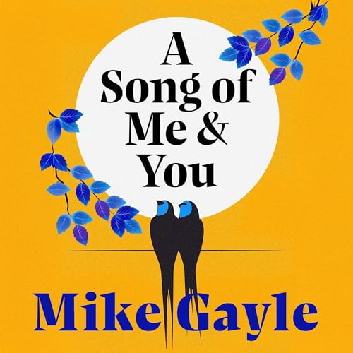 A Song of Me and You Audiolibro Por Mike Gayle arte de portada