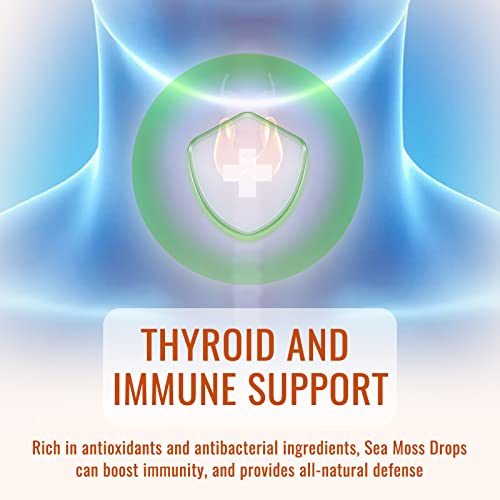 Irish Sea Moss Liquid Drops: 2000Mg, Organic Bladderwrack, And Burdock Root, Spirulina, Thyroid Support, Support For Digestion And Skin, Joint Health, Herbal Supplements-2 Fl Oz Turmeric & Ginger #TOP6