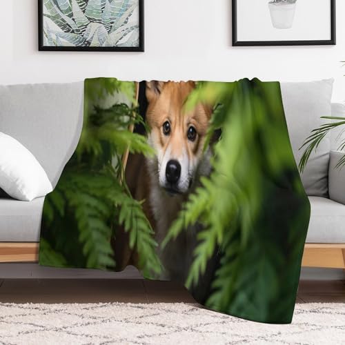 Couverture chien douce et chaude pour protéger le canapé du salon