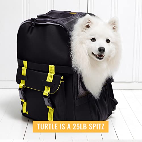 ROVERLUND Airline-Compliant Pet Backpack | Includes Laptop Storage | for Pets up to 25lbs - Thumbnail 2