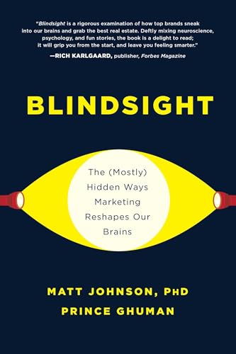 Blindsight view 2