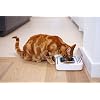Sure Petcare - SureFeed - Motion Activated Sealed Pet Bowl - NOT Microchip Activated