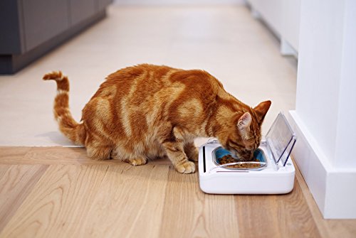 Sure Petcare SureFeed Futterschale für Katzen und kleine Hunde, luftdicht, bewegungsgesteuerter Deckel, hält das Futter frisch, für Nass- und Trockenfutter, 4 x C-Batterien erforderlich, weiß