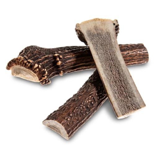 FUTTERMICHEL Hirschgeweih für Hunde halbiert - Größe M (Mind. 40g ca. 12cm lang) - 100% Naturprodukt - Kausnack aus echtem Abwurfgeweih - splitterfrei geruchsarm mineralreich - für Hunde bis 10kg