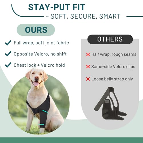 Image of Dog Elbow Protector Brace, Dog Leg Sleeves Anti-Licking for Arthritis, Hygroma, Pressure Sores, and Calluses, Dogs Elbows Pads & Shoulder Brace for Elbow Dysplasia and Injury Recovery, Right M
