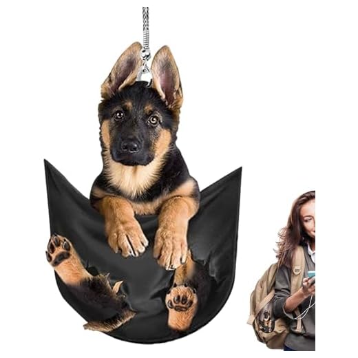 Pingente de acessórios de mochila, etiqueta de bolsa 2D para espelho retrovisor de carro, ração interna de espelho retrovisor automotivo acessórios de carro para chaveiro de casa