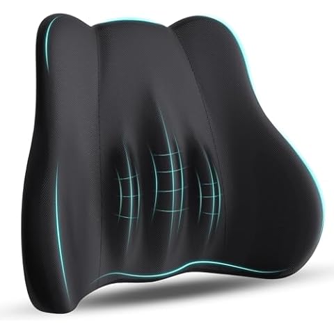 kasney Lumbar Support Pillow Cover