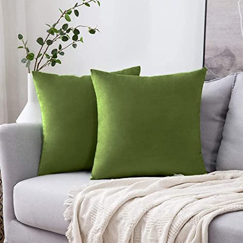 Image of Decorative Holland Velvet Cushion Square Pillow Covers Pillowcases for Sofa Bedroom with Invisible Zipper || (Light Green, Set of 2 Piece (16X16 Inches)