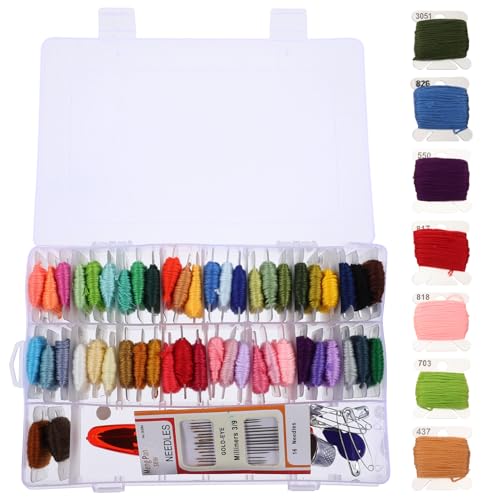 Kit de broderie pour adultes avec fils colorés et boîte de rangement