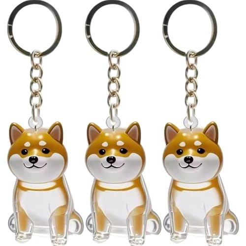 Brxmpn 3 Llaveros para Guardar Pelo De Mascotas, Caja De Recuerdo para Pelo De Mascotas, Bolsa para Guardar Pelo De Mascotas para Amantes De Mascotas Que Recogen Pelo De Gatos Y Perros.