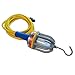 Explosion Proof Drop Light, 25? Cord