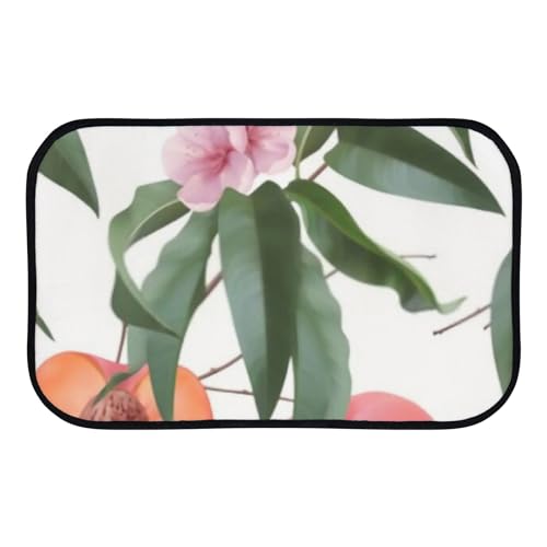 Nuansexi Bathroom Rugs Peaches Flowers Leaves Floor Mats Non Slip Bathmat Doormat Tub Mat Coral Velvet Absorbent Entrance Carpet Mats Machine Washable Bedroom Decor