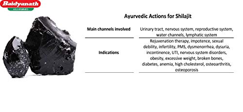 Baidyanath Jhansi Shilajit,Pack of 30 Capsules - Image 3