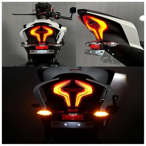 Support de plaque d'immatriculation pour CFMOTO 450NK 450SR SS Type B - 7