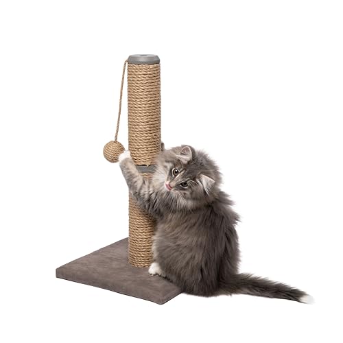 Rascador para Gatos y Gatitos con Bola Colgante 19.5 pulgadas miniatura 1