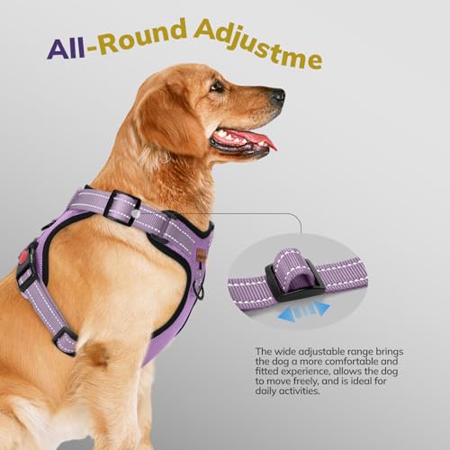 FAYOGOO Hundegeschirr, Kein Choke Front Clip Hund Reflektierendes Geschirr, No-Pull Verstellbare Weiche Gepolsterte Haustier Weste Set für kleine Mittlere Große Hunde Gehen (Lila, M)