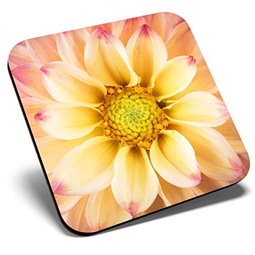 Destination Vinyl Ltd Multicolor Great Single Coaster Square - Beautiful Dahlia Colourful Flower |Glossy Quality Coasters | Tabletop Protection For Any Table Type #16634